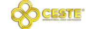 www.ceste-conference.com